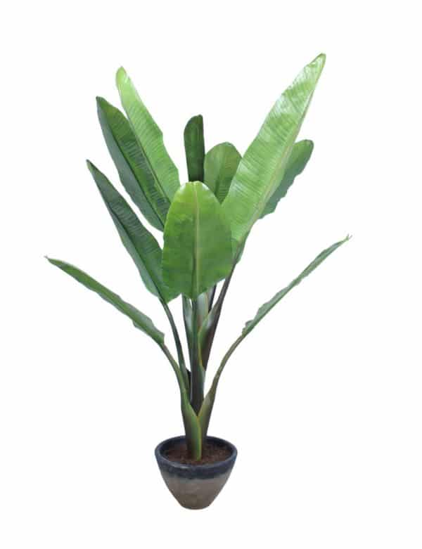 Bananier Artificiel en pot