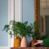 Set 3 cache-vases